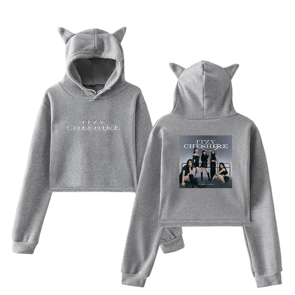 Comfy grey Justin Bieber swag hoodie and sweatpants set with animal ear hood, featuring HIS CHOICE text and a group photo of the singer's fans on the back, perfect for casual streetwear or fan merchandise.